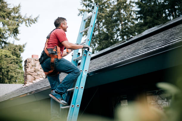 Best Roof Maintenance and Cleaning  in Loveland, CO